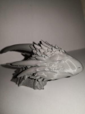 Dragon Head