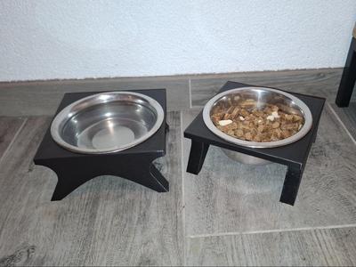 Elevated Food Bowl