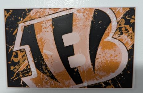 Cincinnati Bengals