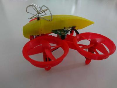 Mini drone