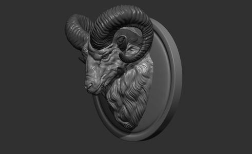 Mouflon ram head