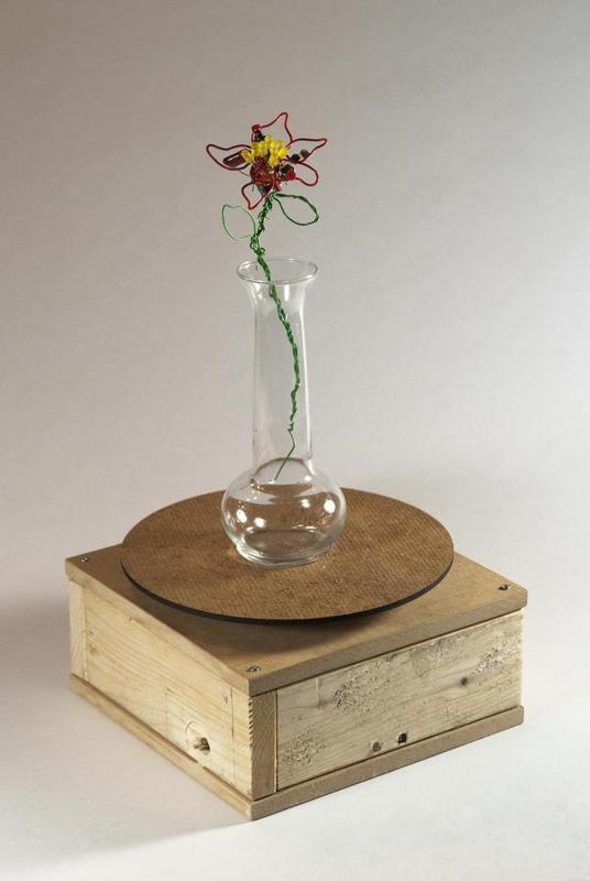 Not Lazy Susan rotary top