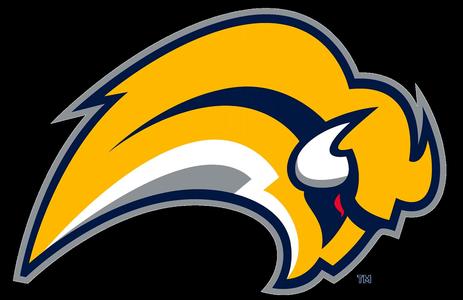 Buffalo Sabres Light Box