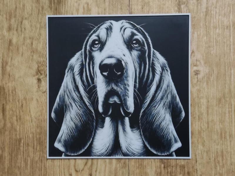 Basset Hound - hueforge