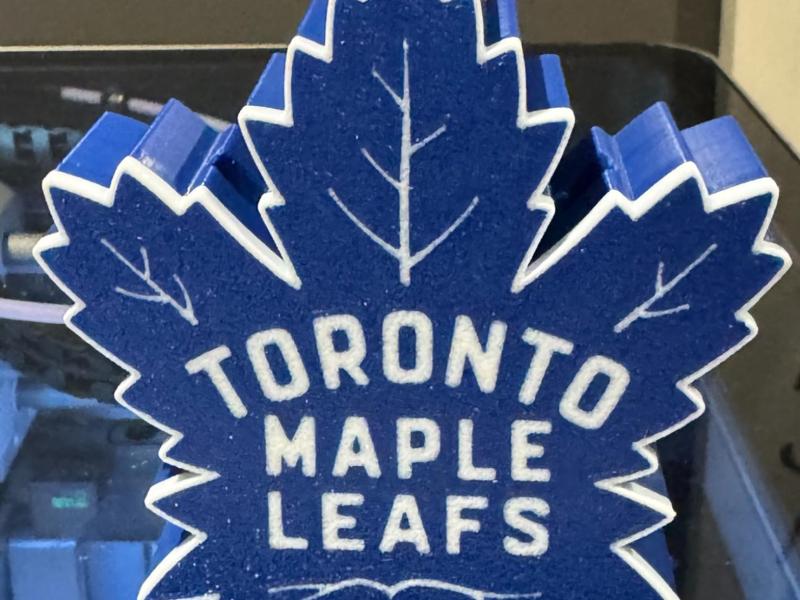 Toronto Maple Leafs Dart Holder