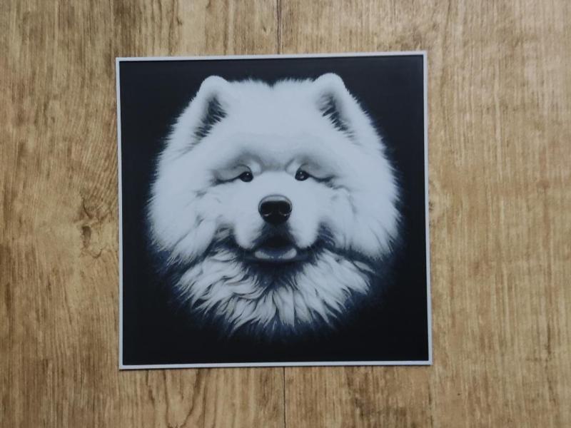 Samoyed dog - hueforge