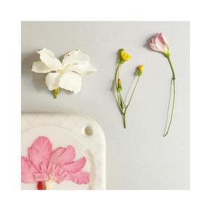 PRESS KIT - flowers press