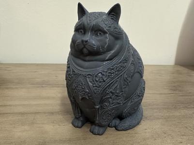 Fat cat with pattern