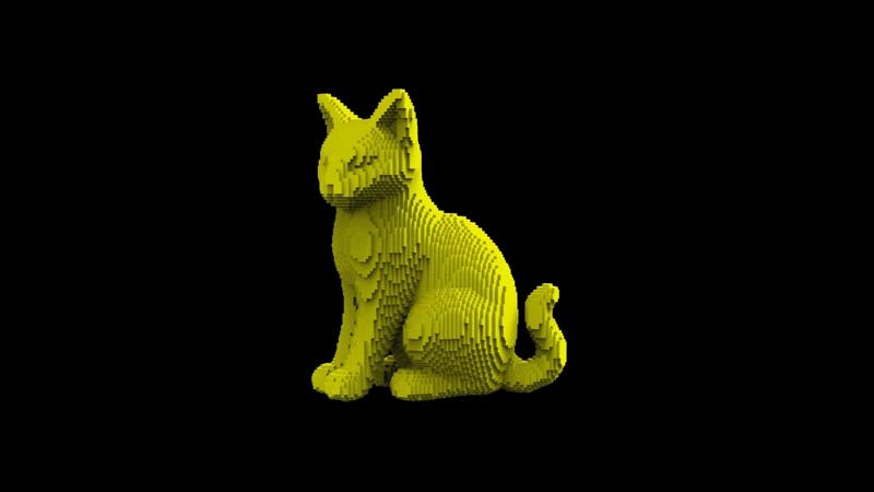 Cat voxel