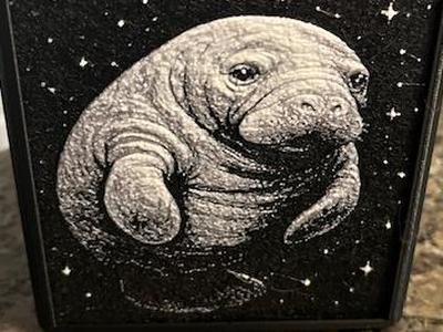 Manatee Star Hueforge 100x100 organizer