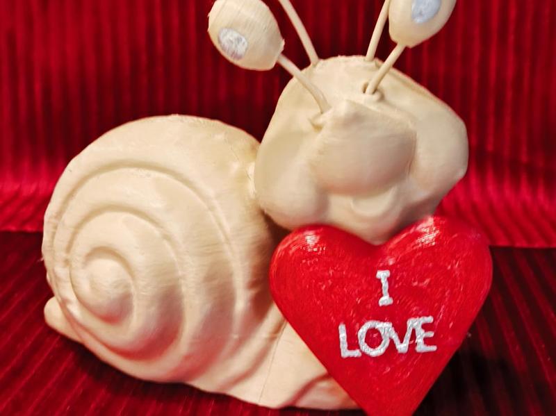 The Valentine's Day snail