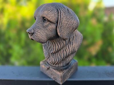 TIBETAN SPANIEL BUST