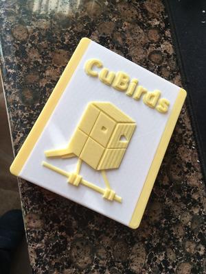 CUBIRDS Box