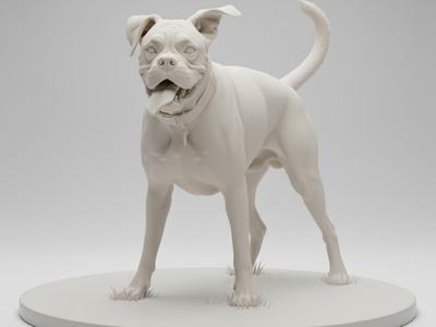 Boxer 3D Model