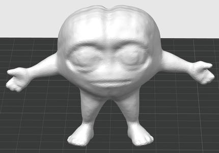 Brain
