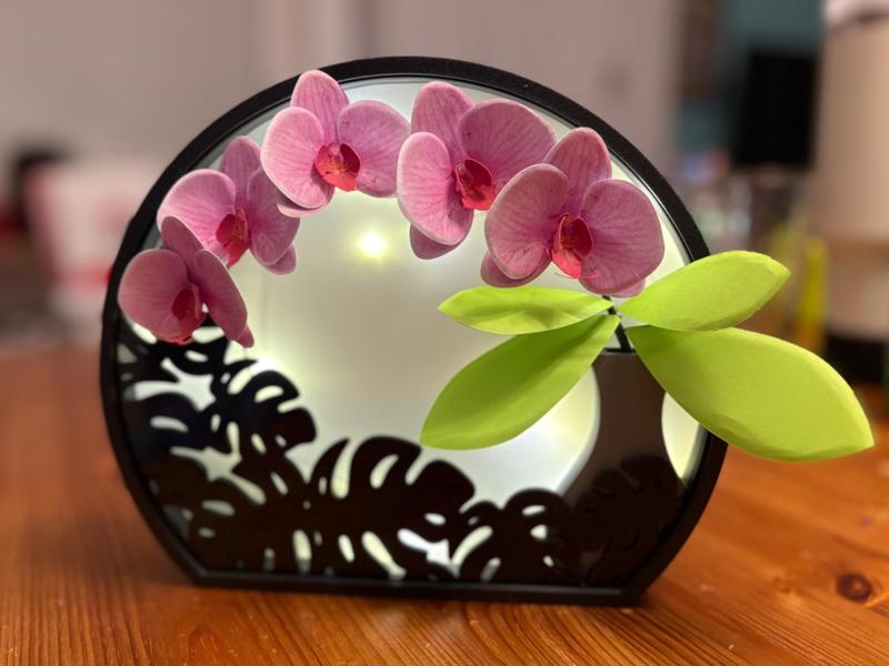 Plant Display shadow box