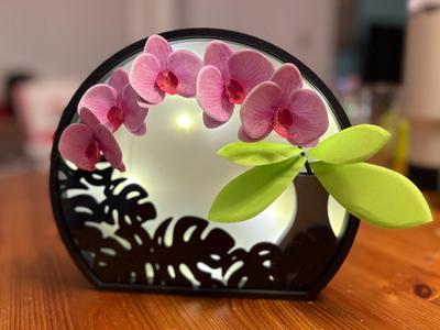 Plant Display shadow box