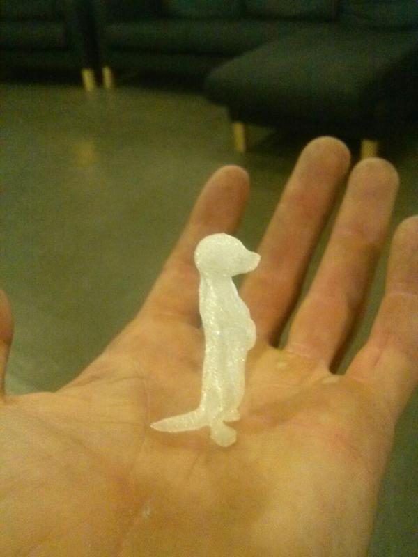 Meerkat