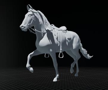 Mangalarga Marchador Horse