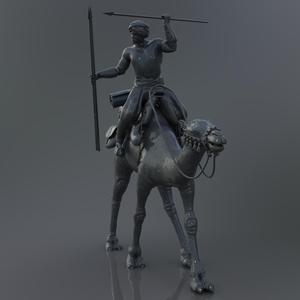 Camel cavalry rider