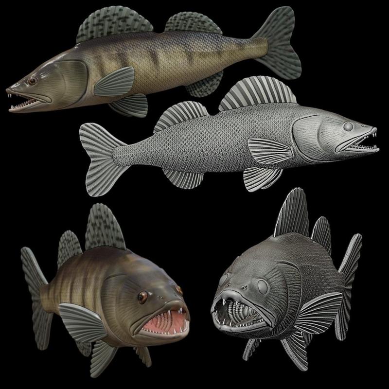 zander / pikeperch / Sander lucioperca open mouth fish model for 3D printing