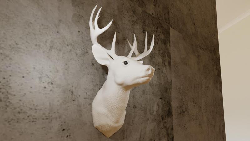 white tailed deer head wall mount