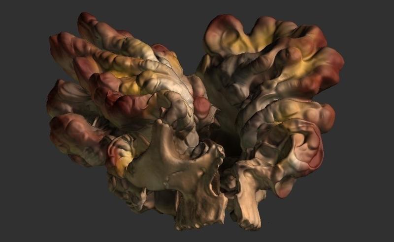 Deformed Skull