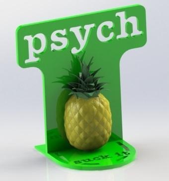 Bookend Psych TV show