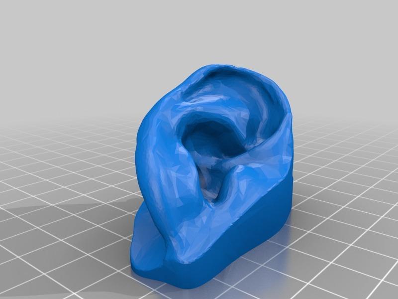 BodyParts3D Ears