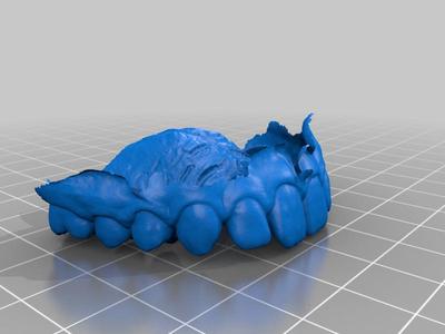 UPPER JAW