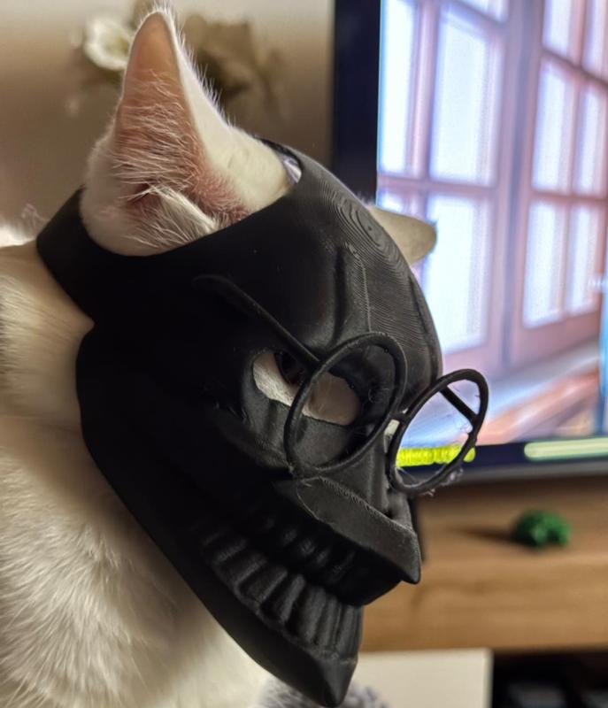 Okarun cat mask Dandadan