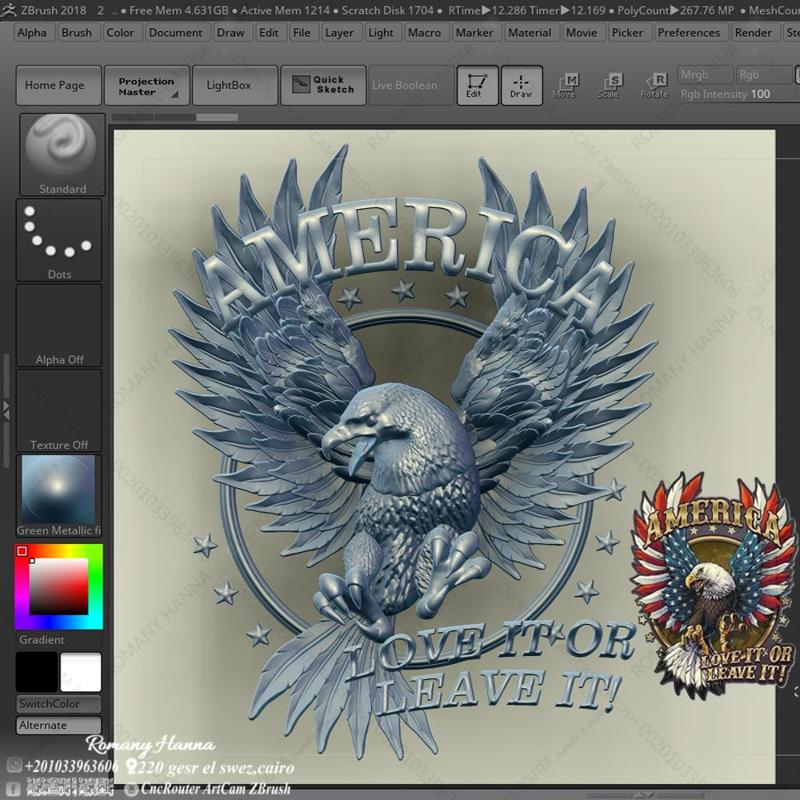 american bald eagle symbol in 2017