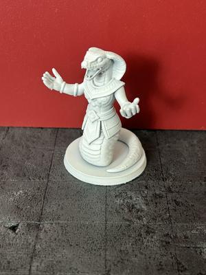 Ader Priestess TTRPG - Brass Lantern Minis