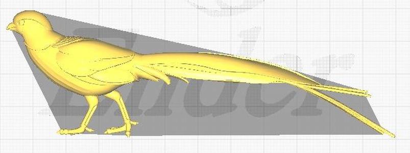 3D model represents a golden pheasant