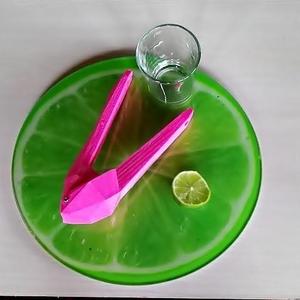 Lemon squeezer. LOW POLY