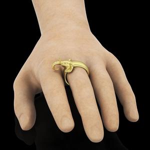elephant ring