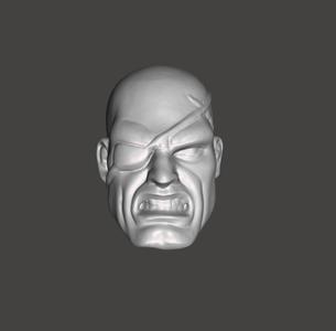 SAGAT HEADS
