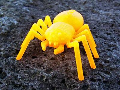 Spider ... With 8 legs, and 8 Eyes