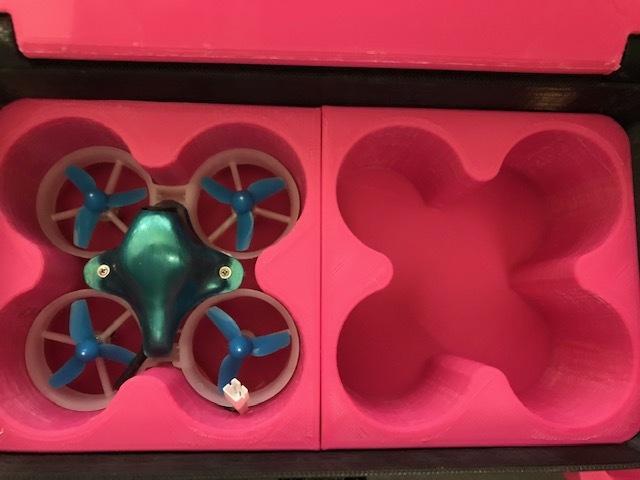 BeeBox V2 Modified Trays