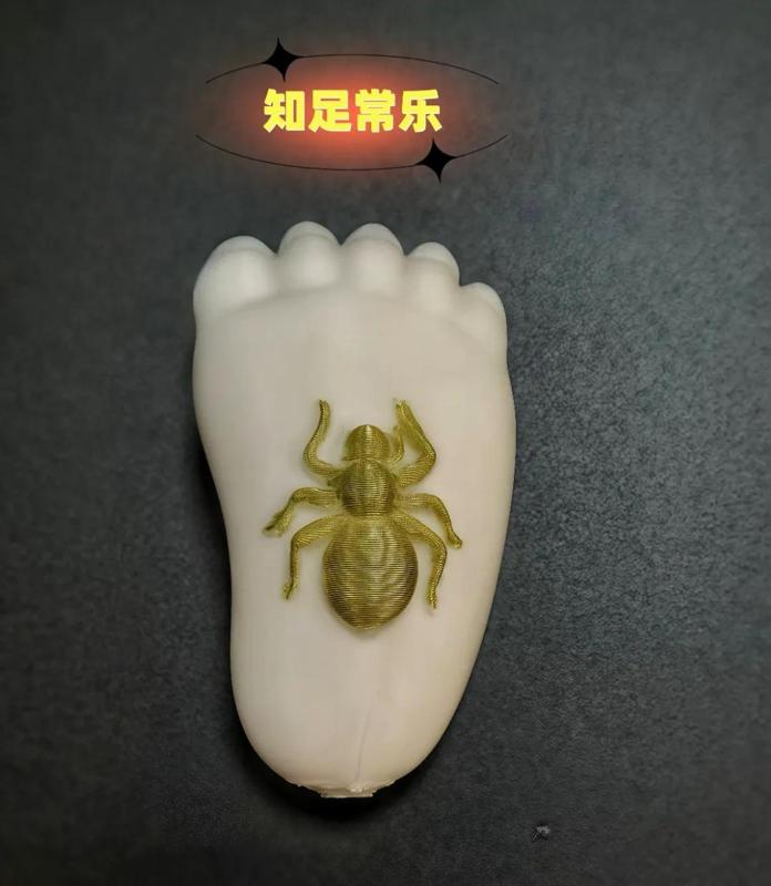 Spider's Contentment - Life's Variety, Contentment is Happiness!