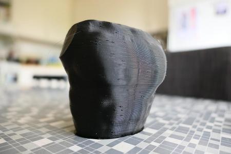 Anatomical Model_Torax