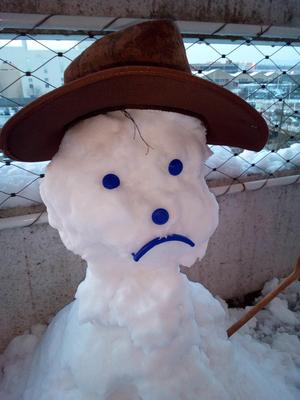 Accessories for snowman