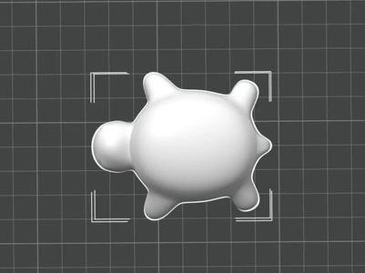 Douyin Little Turtle