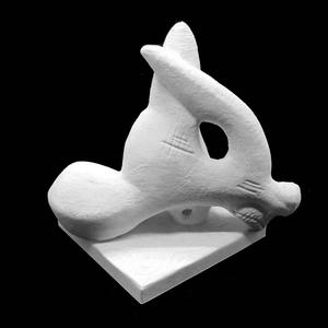 O Indio E A Suassuapara