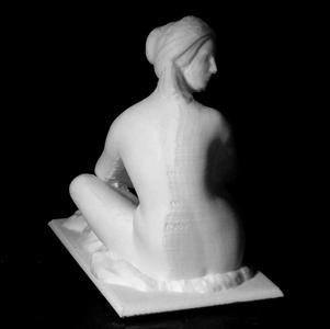 Odalisque at The Musée des Beaux-Arts, Lyon