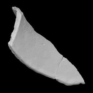 Monongahela rim sherd