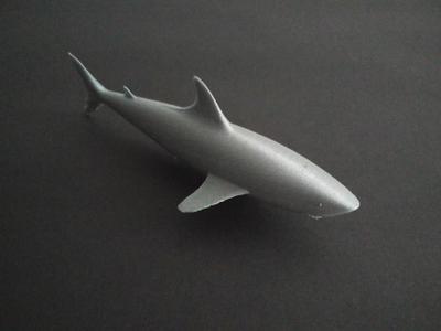 Shark