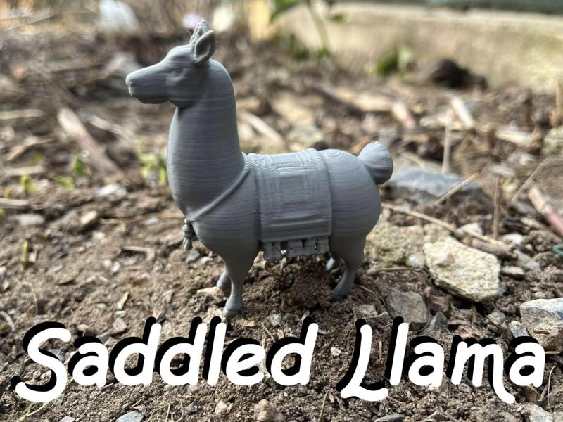 Saddled Llama