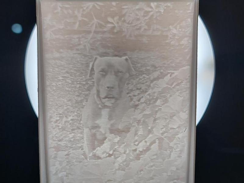 PitBull Angel Lithophane LoveYou