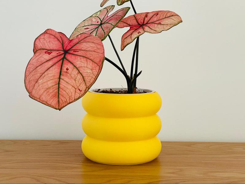 Circular/Desktop Planter/Cover Pot
